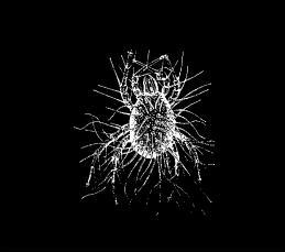 Abiogenesis